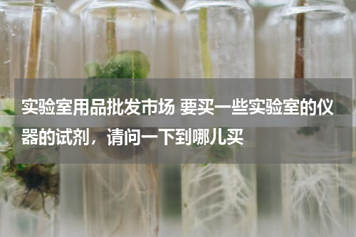 实验室用品批发市场 要买一些实验室的仪器的试剂，请问一下到哪儿买