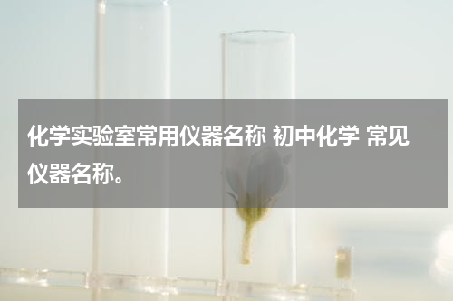 化学实验室常用仪器名称 初中化学 常见仪器名称。
