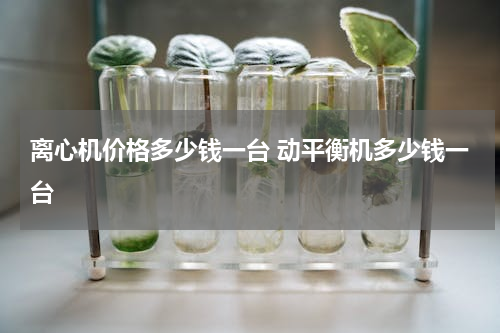 离心机价格多少钱一台 动平衡机多少钱一台