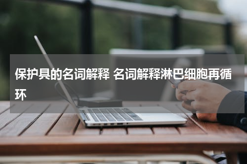 保护具的名词解释 名词解释淋巴细胞再循环