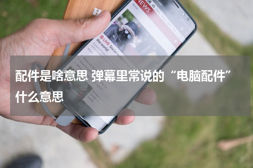 配件是啥意思 弹幕里常说的“电脑配件”什么意思