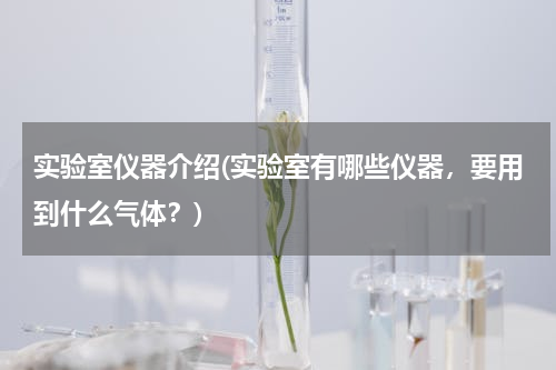 实验室仪器介绍(实验室有哪些仪器，要用到什么气体？)