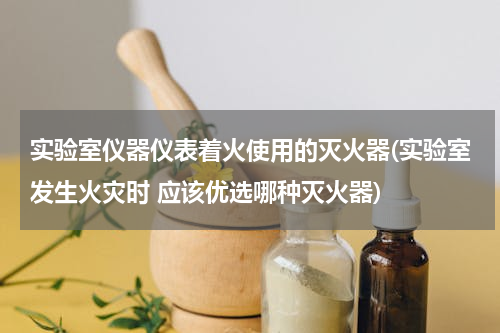 实验室仪器仪表着火使用的灭火器(实验室发生火灾时 应该优选哪种灭火器)