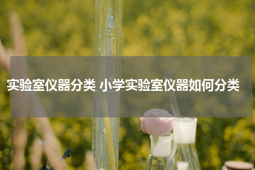 实验室仪器分类 小学实验室仪器如何分类