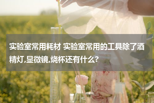 实验室常用耗材 实验室常用的工具除了酒精灯,显微镜,烧杯还有什么?