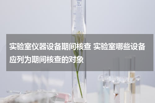 实验室仪器设备期间核查 实验室哪些设备应列为期间核查的对象