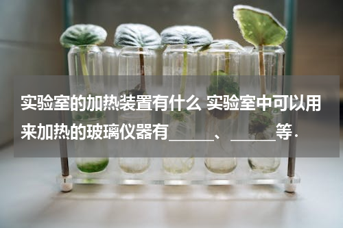 实验室的加热装置有什么 实验室中可以用来加热的玻璃仪器有______、______等．