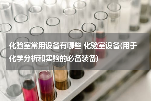 化验室常用设备有哪些 化验室设备(用于化学分析和实验的必备装备)