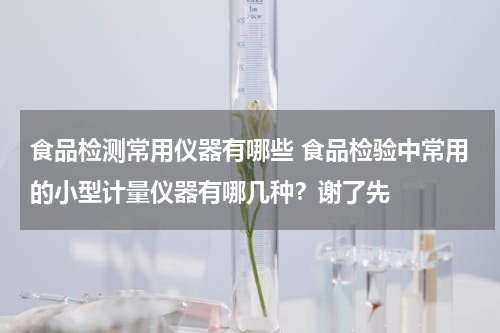 食品检测常用仪器有哪些 食品检验中常用的小型计量仪器有哪几种？谢了先