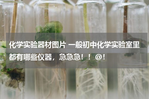 化学实验器材图片 一般初中化学实验室里都有哪些仪器，急急急！！@！