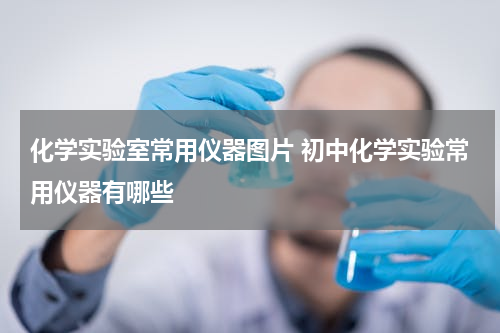 化学实验室常用仪器图片 初中化学实验常用仪器有哪些