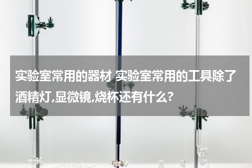 实验室常用的器材 实验室常用的工具除了酒精灯,显微镜,烧杯还有什么?