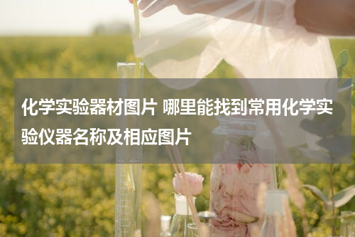 化学实验器材图片 哪里能找到常用化学实验仪器名称及相应图片