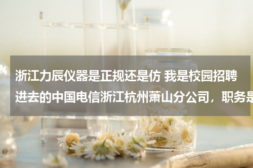 浙江力辰仪器是正规还是仿 我是校园招聘进去的中国电信浙江杭州萧山分公司，职务是客户经理，以后签的合同是正式工还是劳务派遣？