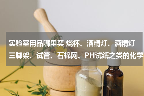 实验室用品哪里买 烧杯、酒精灯、酒精灯三脚架、试管、石棉网、PH试纸之类的化学实验用具哪有卖的