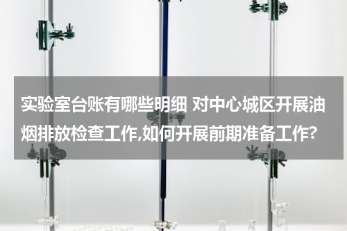 实验室台账有哪些明细 对中心城区开展油烟排放检查工作,如何开展前期准备工作?
