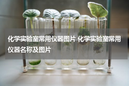 化学实验室常用仪器图片 化学实验室常用仪器名称及图片