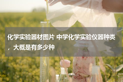 化学实验器材图片 中学化学实验仪器种类，大概是有多少种