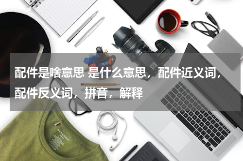 配件是啥意思 是什么意思，配件近义词，配件反义词，拼音，解释