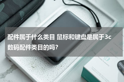 配件属于什么类目 鼠标和键盘是属于3c数码配件类目的吗？