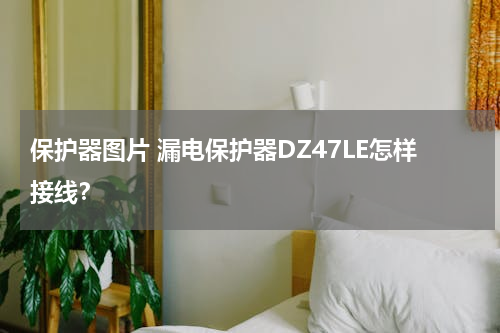 保护器图片 漏电保护器DZ47LE怎样接线？