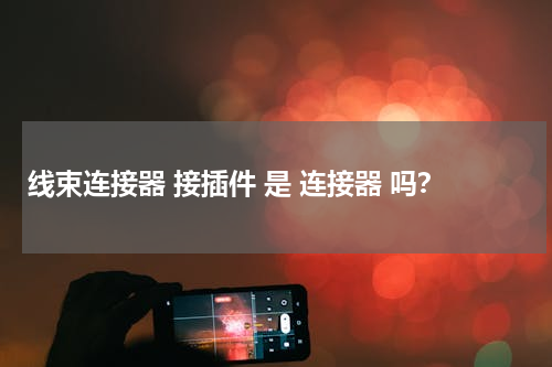 线束连接器 接插件 是 连接器 吗？