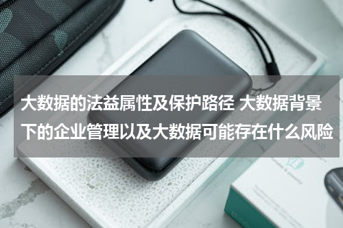 大数据的法益属性及保护路径 大数据背景下的企业管理以及大数据可能存在什么风险
