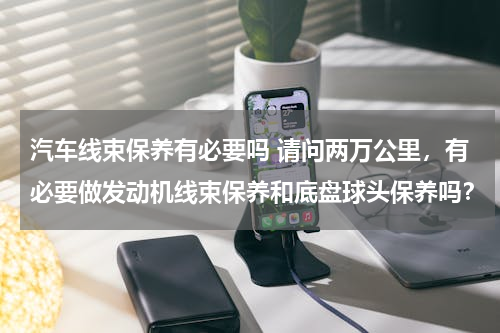 汽车线束保养有必要吗 请问两万公里，有必要做发动机线束保养和底盘球头保养吗？