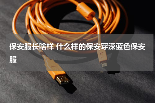 保安服长啥样 什么样的保安穿深蓝色保安服