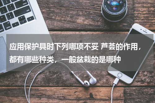 应用保护具时下列哪项不妥 芦荟的作用，都有哪些种类，一般盆栽的是哪种