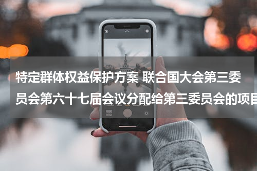 特定群体权益保护方案 联合国大会第三委员会第六十七届会议分配给第三委员会的项目