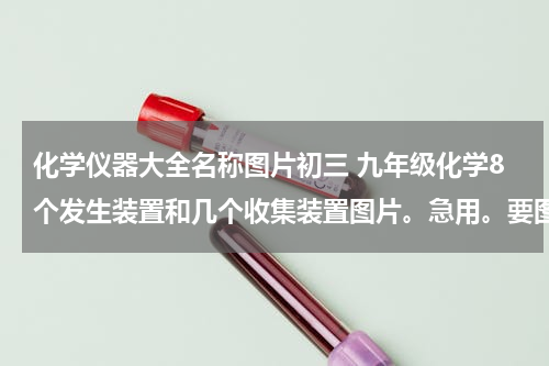 化学仪器大全名称图片初三 九年级化学8个发生装置和几个收集装置图片。急用。要图片。我照画。