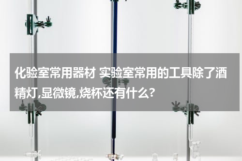 化验室常用器材 实验室常用的工具除了酒精灯,显微镜,烧杯还有什么?