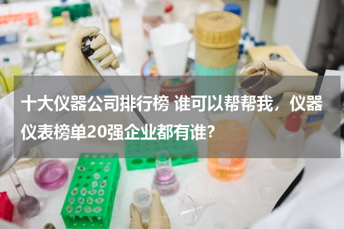 十大仪器公司排行榜 谁可以帮帮我，仪器仪表榜单20强企业都有谁？