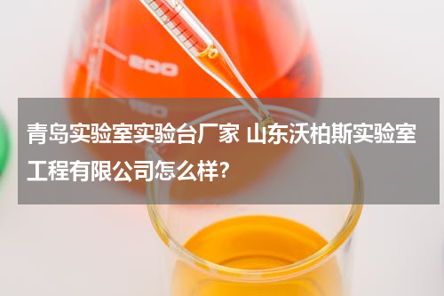 青岛实验室实验台厂家 山东沃柏斯实验室工程有限公司怎么样？