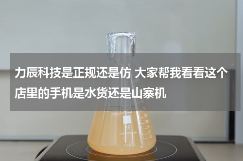 力辰科技是正规还是仿 大家帮我看看这个店里的手机是水货还是山寨机
