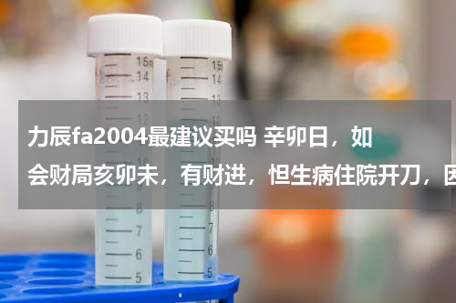 力辰fa2004最建议买吗 辛卯日，如会财局亥卯未，有财进，怛生病住院开刀，因财库冲身库，丑未冲，财禄冲日禄，卯酉冲也。 我