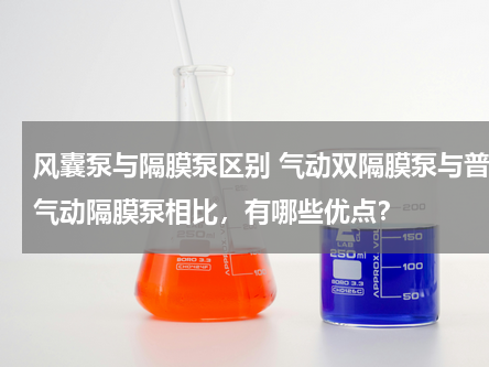 风囊泵与隔膜泵区别 气动双隔膜泵与普通气动隔膜泵相比，有哪些优点？