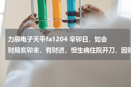 力辰电子天平fa1204 辛卯日，如会财局亥卯未，有财进，怛生病住院开刀，因财库冲身库，丑未冲，财禄冲日禄，卯酉冲也。 我