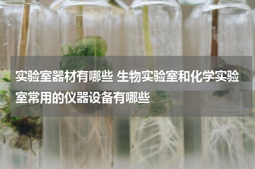 实验室器材有哪些 生物实验室和化学实验室常用的仪器设备有哪些