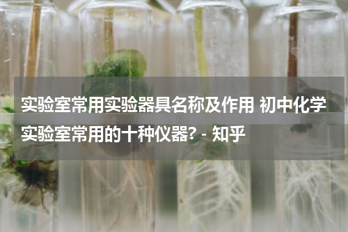 实验室常用实验器具名称及作用 初中化学实验室常用的十种仪器? - 知乎