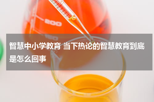 智慧中小学教育 当下热论的智慧教育到底是怎么回事
