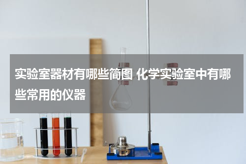 实验室器材有哪些简图 化学实验室中有哪些常用的仪器