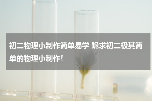 初二物理小制作简单易学 跪求初二极其简单的物理小制作！