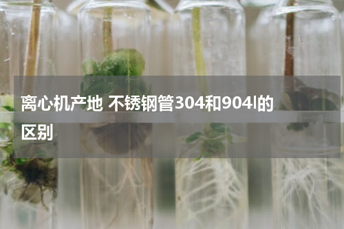 离心机产地 不锈钢管304和904l的区别