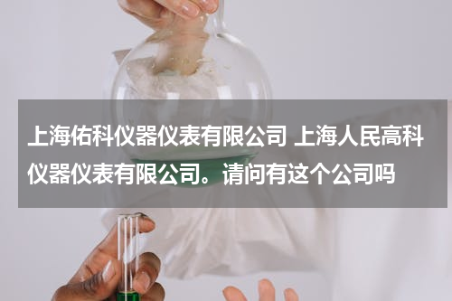 上海佑科仪器仪表有限公司 上海人民高科仪器仪表有限公司。请问有这个公司吗
